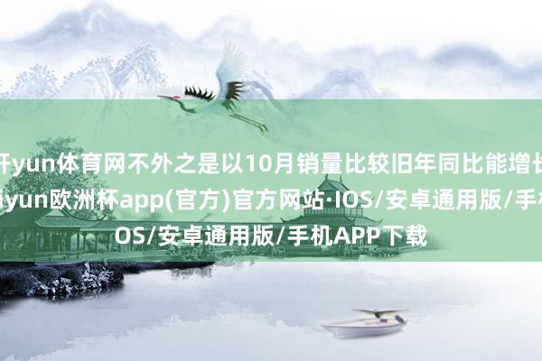 开yun体育网不外之是以10月销量比较旧年同比能增长这样多-kaiyun欧洲杯app(官方)官方网站·IOS/安卓通用版/手机APP下载