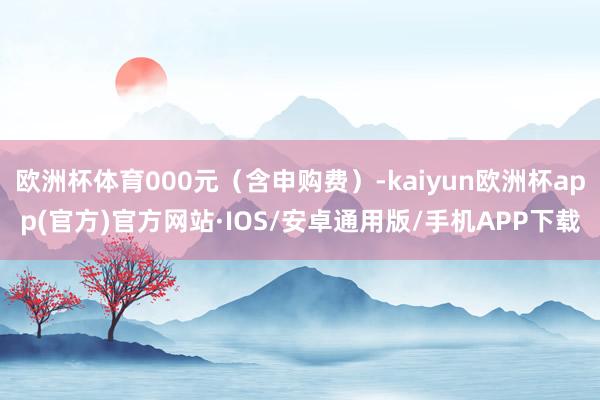 欧洲杯体育000元（含申购费）-kaiyun欧洲杯app(官方)官方网站·IOS/安卓通用版/手机APP下载