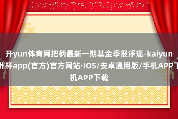 开yun体育网把柄最新一期基金季报浮现-kaiyun欧洲杯app(官方)官方网站·IOS/安卓通用版/手机APP下载