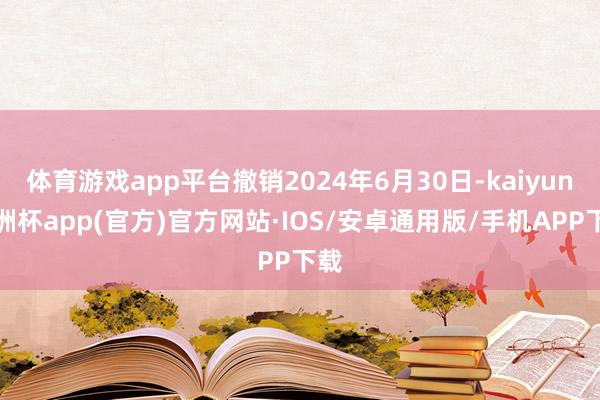 体育游戏app平台撤销2024年6月30日-kaiyun欧洲杯app(官方)官方网站·IOS/安卓通用版/手机APP下载