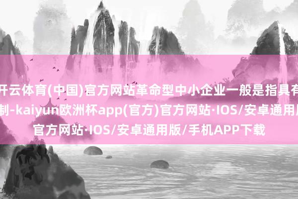 开云体育(中国)官方网站革命型中小企业一般是指具有较健全的革命机制-kaiyun欧洲杯app(官方)官方网站·IOS/安卓通用版/手机APP下载