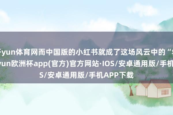 开yun体育网而中国版的小红书就成了这场风云中的“救星”-kaiyun欧洲杯app(官方)官方网站·IOS/安卓通用版/手机APP下载