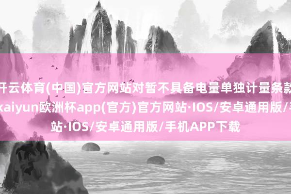开云体育(中国)官方网站对暂不具备电量单独计量条款的充电步履-kaiyun欧洲杯app(官方)官方网站·IOS/安卓通用版/手机APP下载