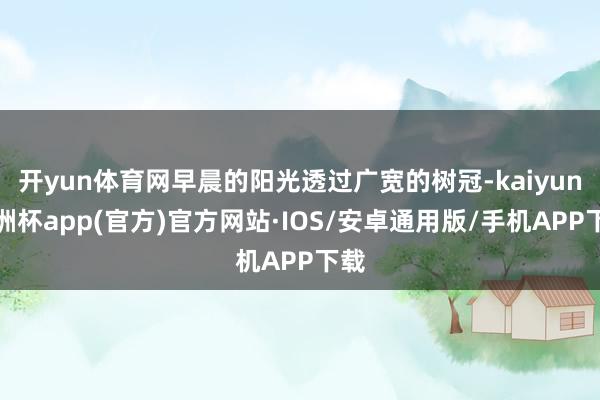 开yun体育网早晨的阳光透过广宽的树冠-kaiyun欧洲杯app(官方)官方网站·IOS/安卓通用版/手机APP下载