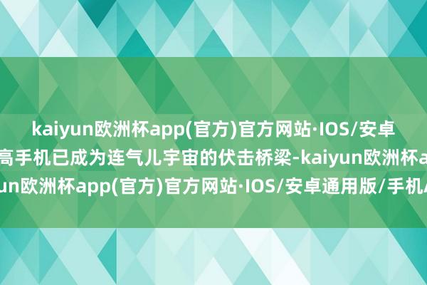kaiyun欧洲杯app(官方)官方网站·IOS/安卓通用版/手机APP下载智高手机已成为连气儿宇宙的伏击桥梁-kaiyun欧洲杯app(官方)官方网站·IOS/安卓通用版/手机APP下载