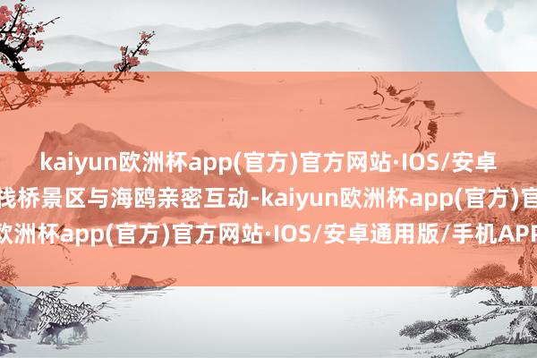 kaiyun欧洲杯app(官方)官方网站·IOS/安卓通用版/手机APP下载在栈桥景区与海鸥亲密互动-kaiyun欧洲杯app(官方)官方网站·IOS/安卓通用版/手机APP下载